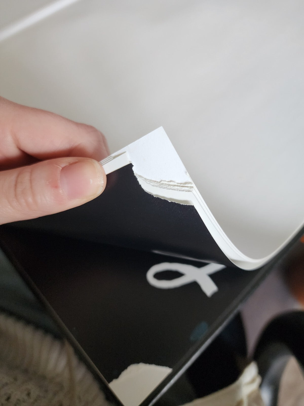 Great Painters Series: Anthony Van Dyck by Natalia Gritsai Hardcover