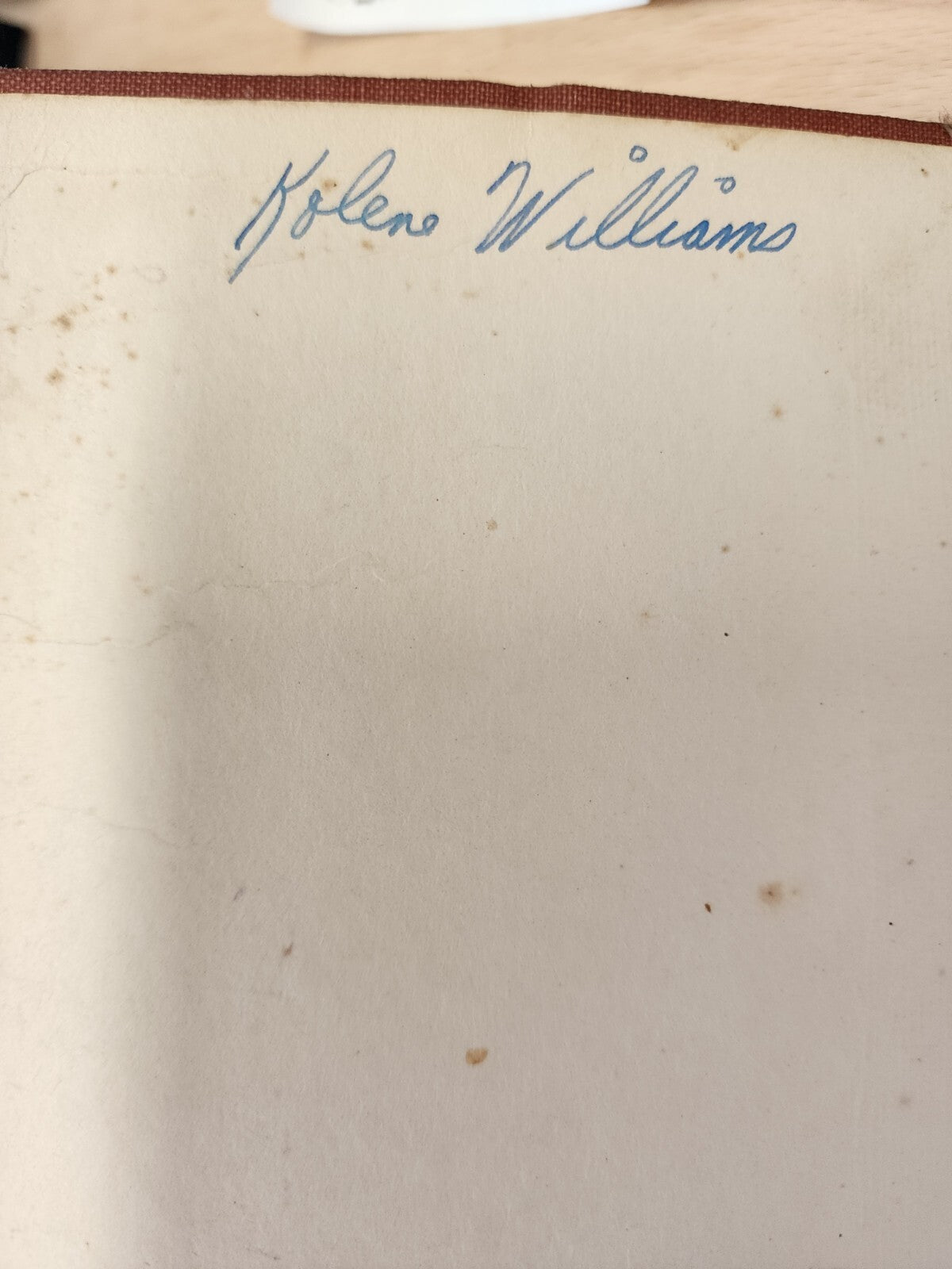 VTG THE RED MUSTANG WO STODDARD HARDCOVER 1890