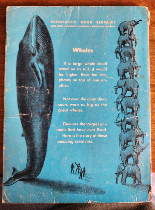 The Great Whales by Herbert S. Zim - 1972