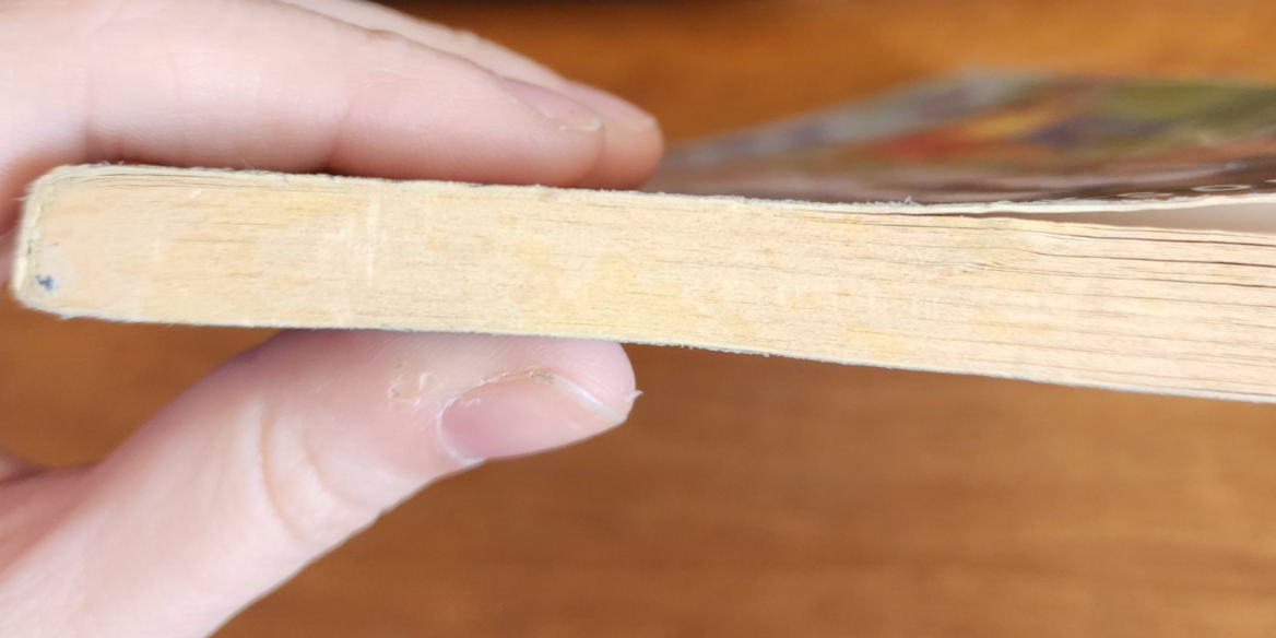 Darcy Paperback Book by Joni Eareckson Tada