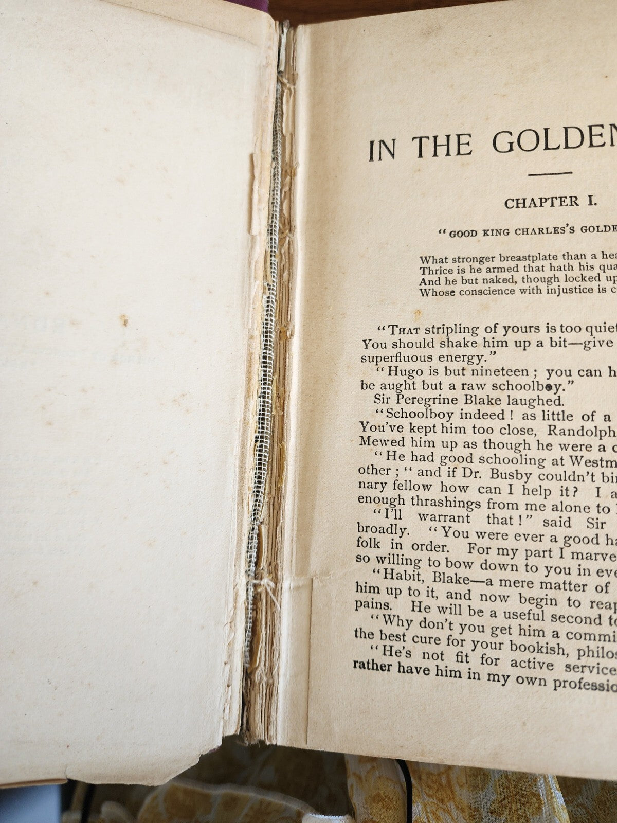 In The Golden Days - Empire Edition By Edna Lyall Unknown Year