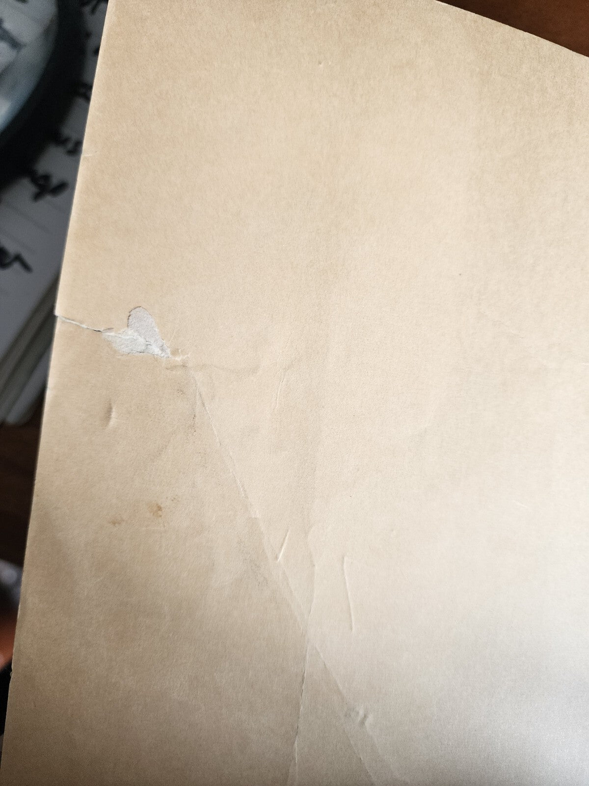 The Great Whales by Herbert S. Zim - 1972