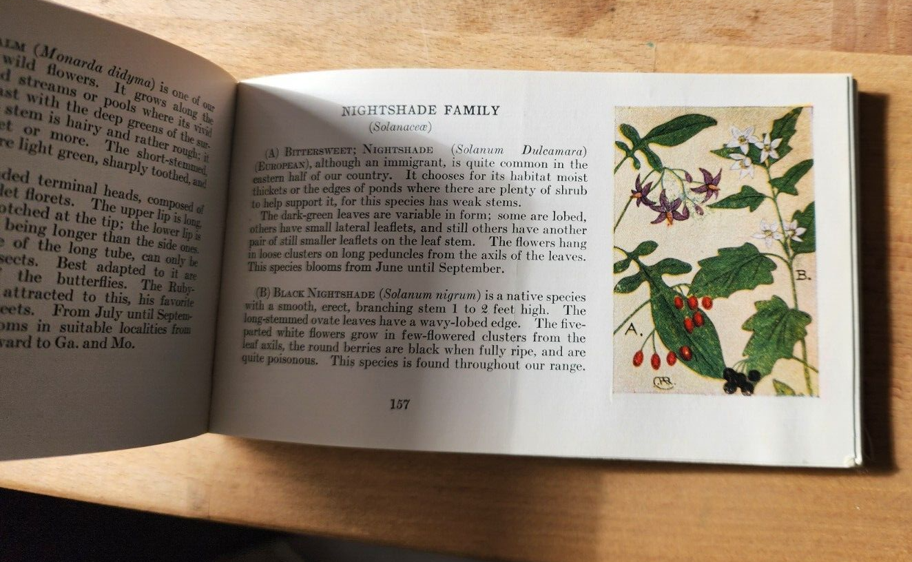 Flower Guide Wild Flowers East Of The Rockies Revised Edition 1925 Chester Reed