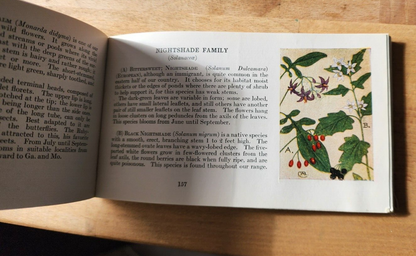 Flower Guide Wild Flowers East Of The Rockies Revised Edition 1925 Chester Reed
