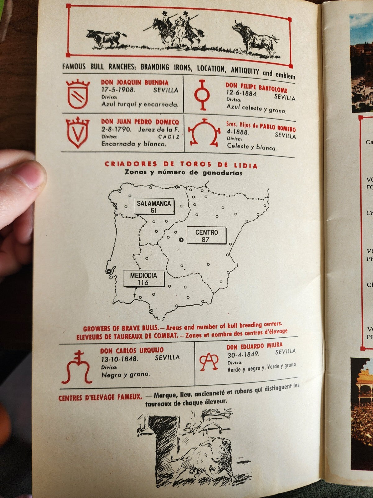 To The Bullfight: Tarde De Toros - Bull Fight Travel Guide - Good