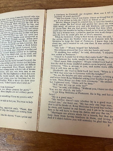 Bantam Book - The Enchanted Cup Dorothy James Roberts