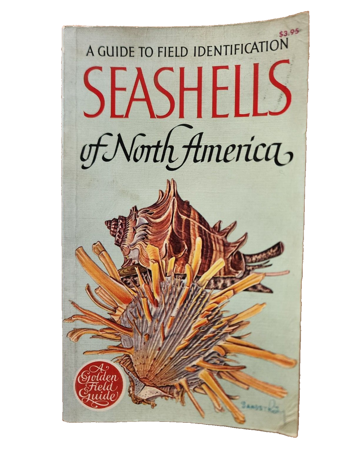 Vtg "A Guide To Field Identification Seashells Of North America" (1968)