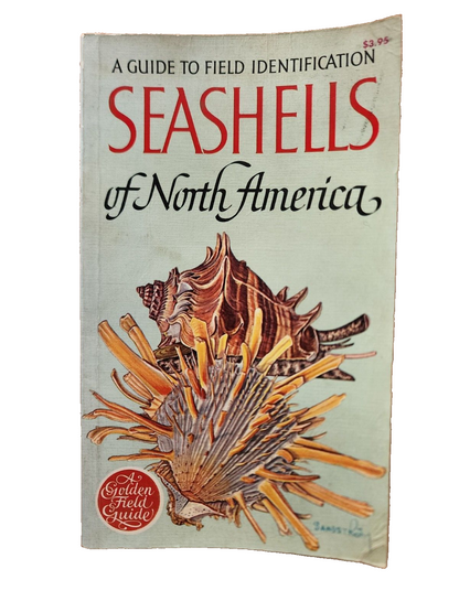 Vtg "A Guide To Field Identification Seashells Of North America" (1968)