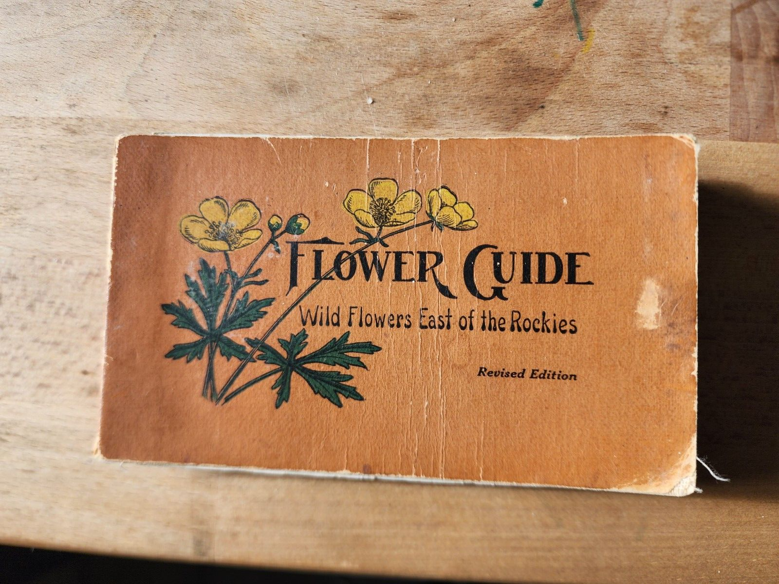 Flower Guide Wild Flowers East Of The Rockies Revised Edition 1925 Chester Reed