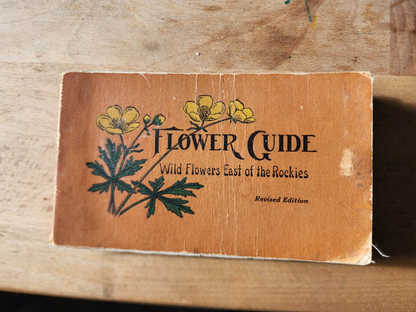 Flower Guide Wild Flowers East Of The Rockies Revised Edition 1925 Chester Reed