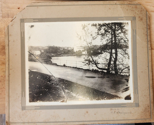 Vintage Cardboard Photo by N.S Orninguard