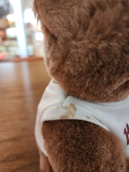 Hard Rock Cafe Teddy Bear 9" Plush