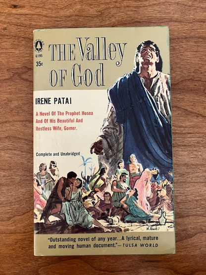 Vtg Paperback - The Valley of God by Irene Patai