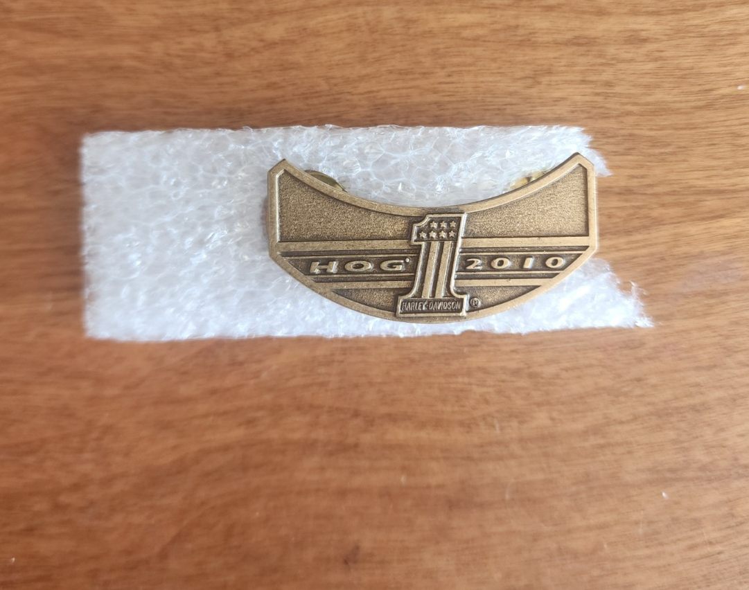 Harley Davidson Owners Group HOG 2009 Pin