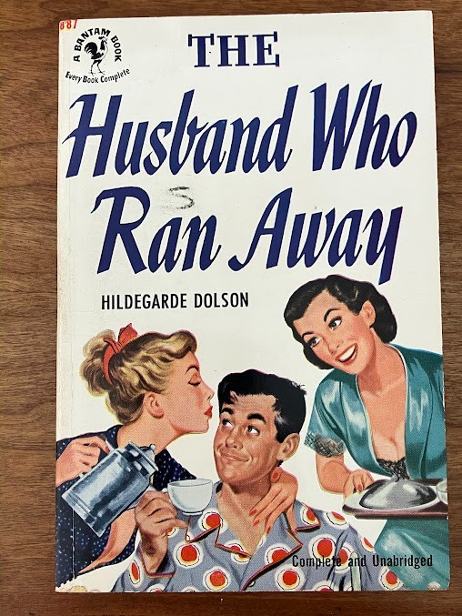 Vtg Paperback - THE HUSBAND WHO RAN AWAY by Hildegarde Dolson