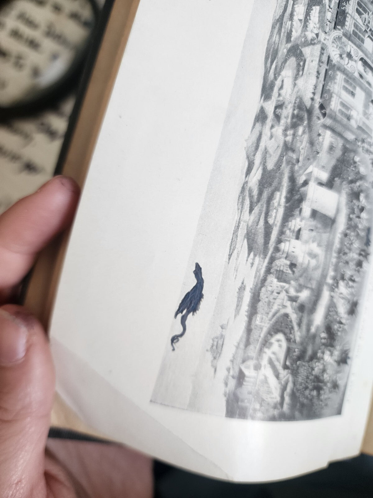 Hardcover Mediaeval Modern History, Revised Edition by Philip Myers, 1905