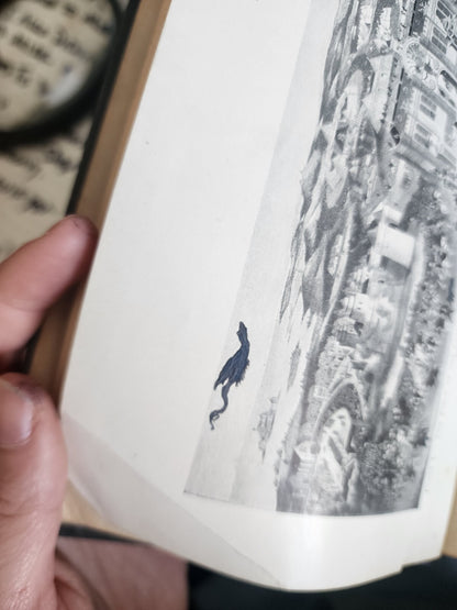 Hardcover Mediaeval Modern History, Revised Edition by Philip Myers, 1905