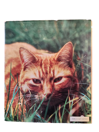 The Complete Book of Cat by Angelina Sayer - Good