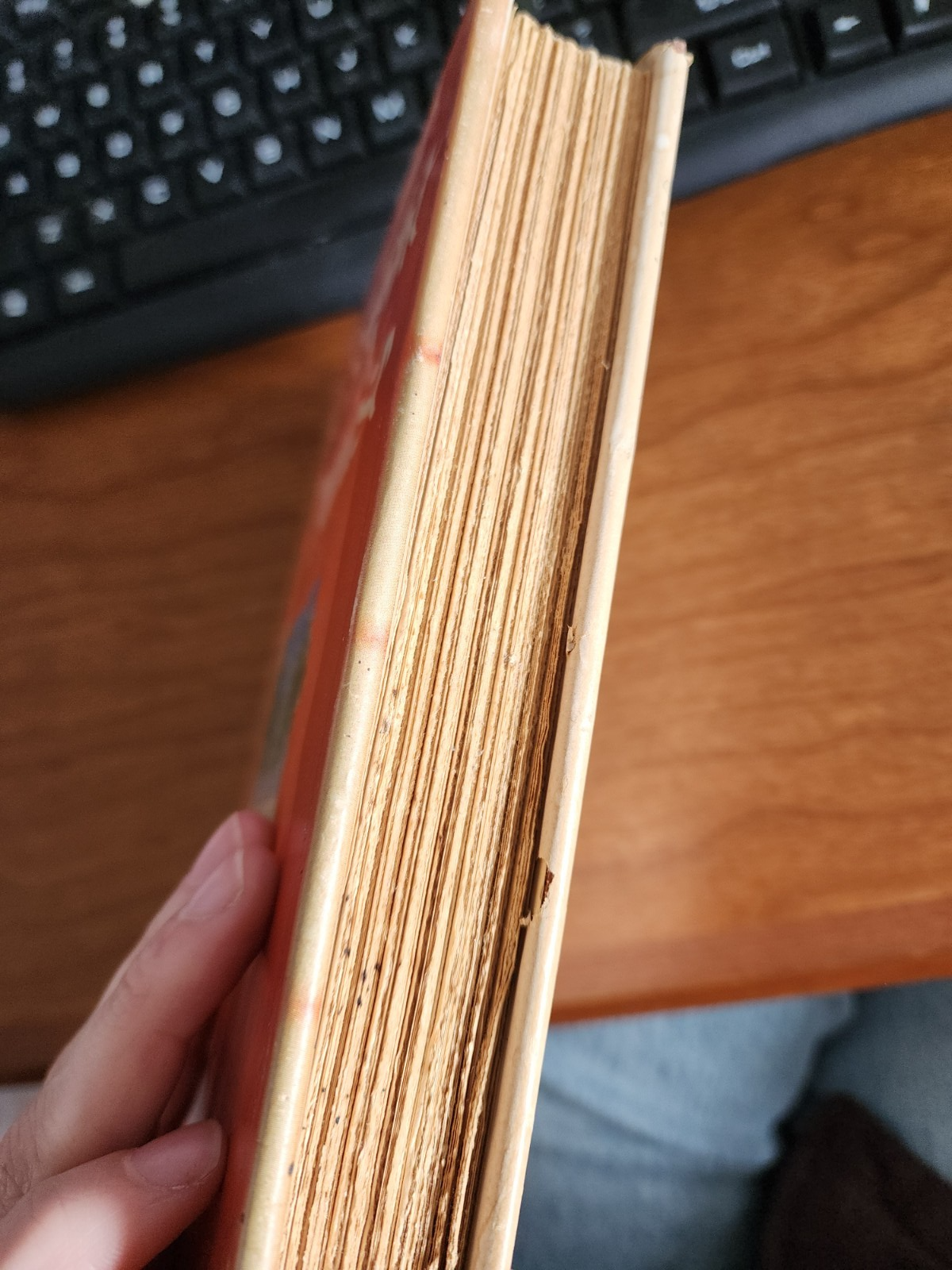 The Bright Promise by Richard Sherman - Hardcover, 1947