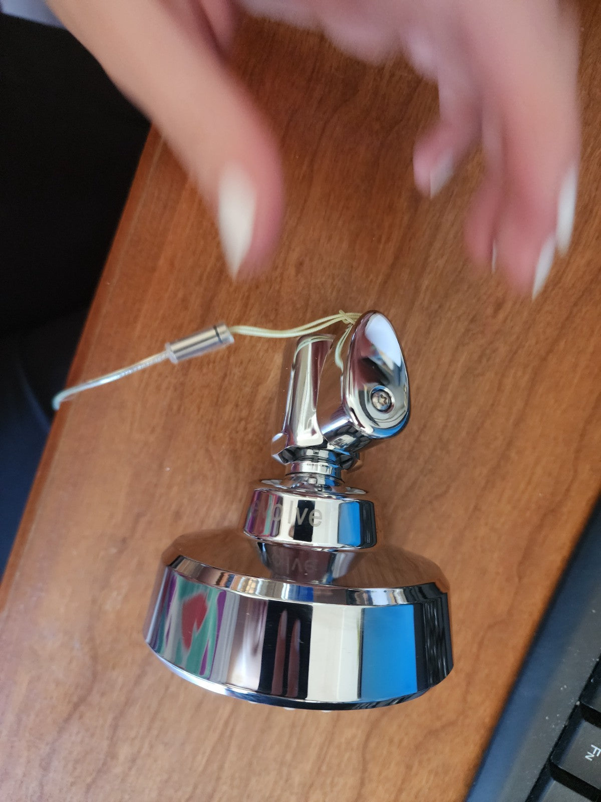 Evolve Brand Single Function Showerhead 1.5 GPM