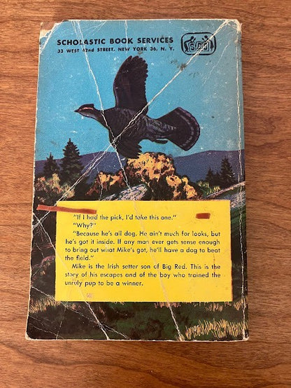 Paperback - Irish Red Son Of Big Red By Jim Kjelgaard