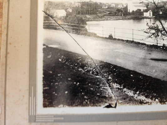 Vintage Cardboard Photo by N.S Orninguard