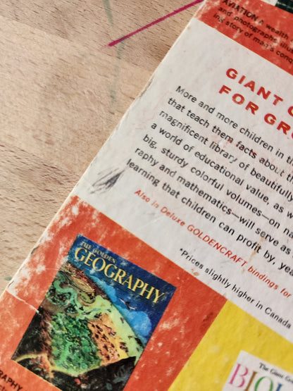 Walt Disney's Lady - A little golden book 29c