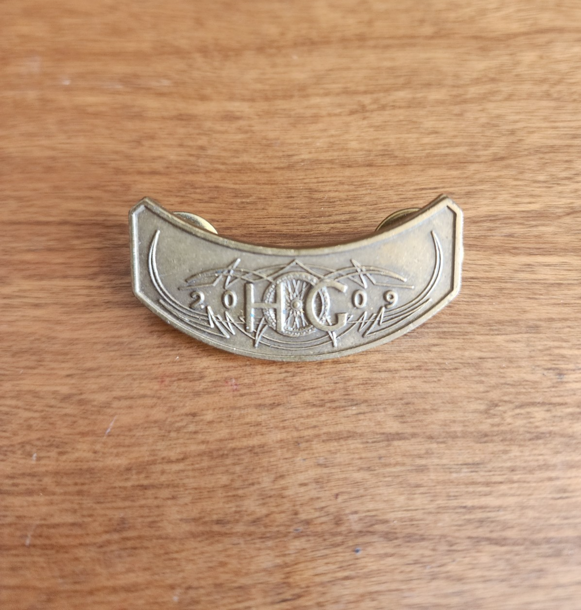 Harley Davidson Owners Group HOG 2009 Pin