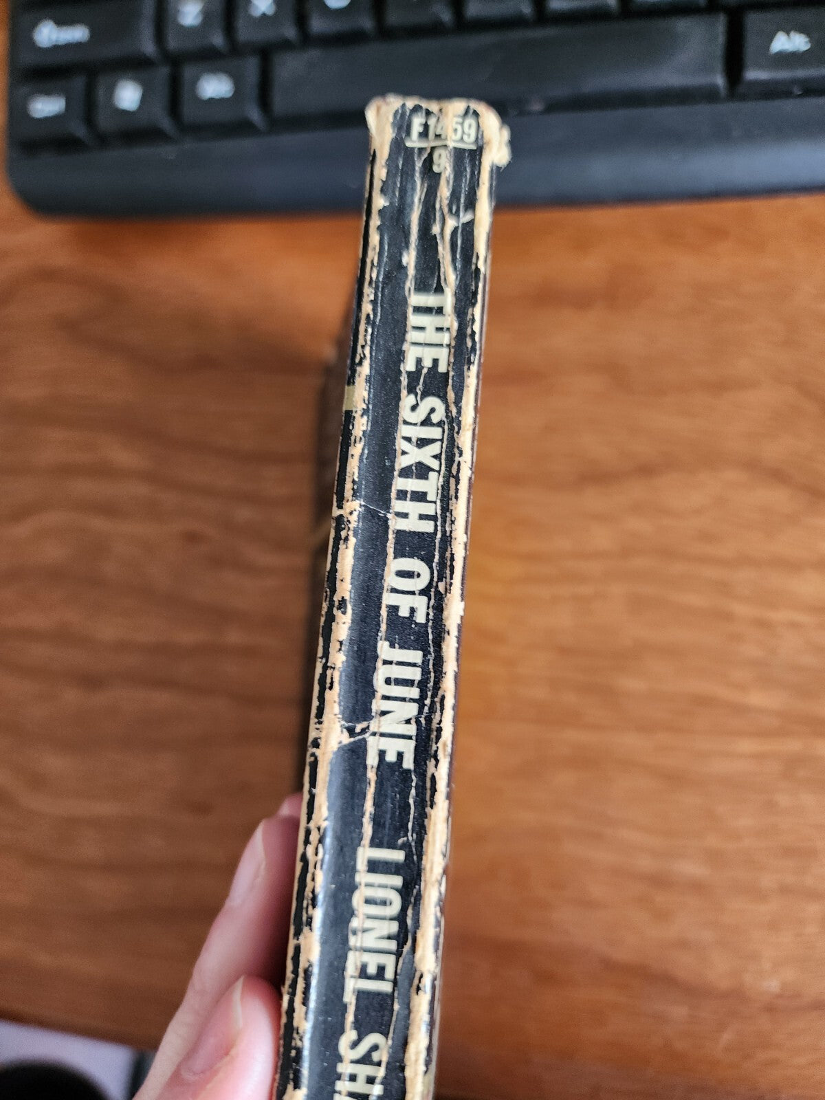 The Sixth of June - A Paperback Book by Lionel Shapiro