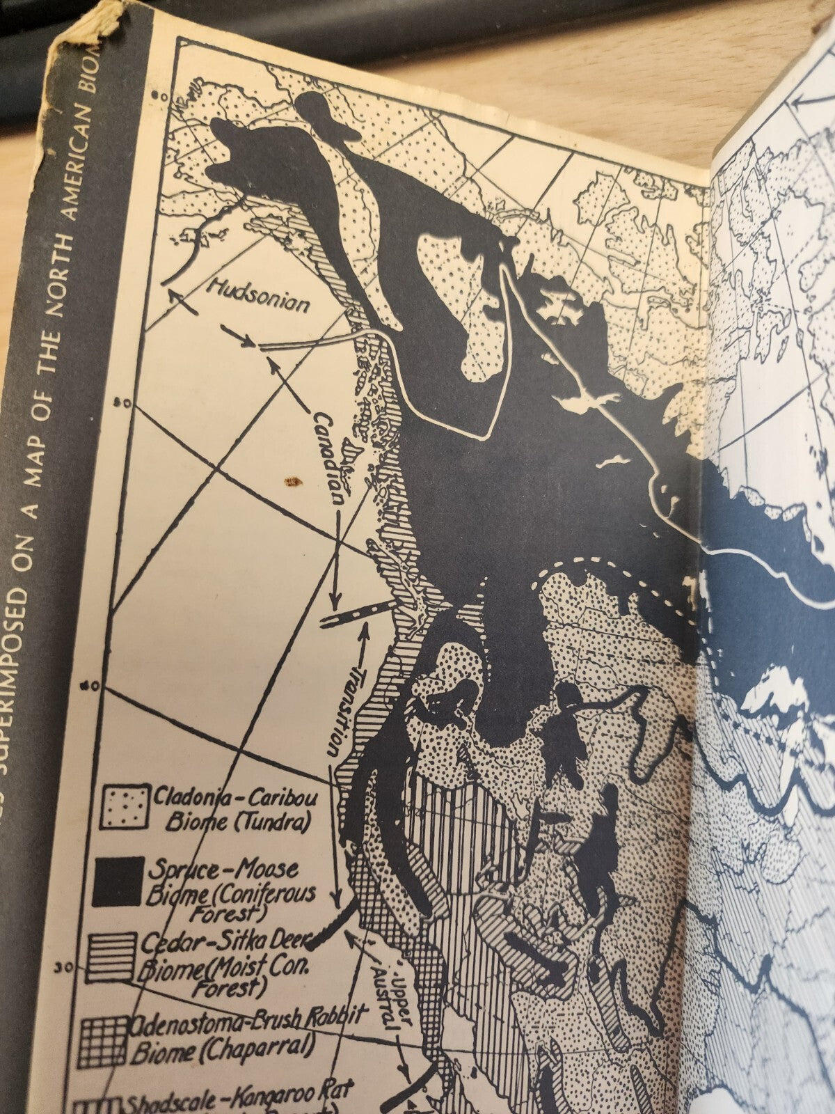 Audubon Land Bird Guide by Richard H. Pough HB - 1949