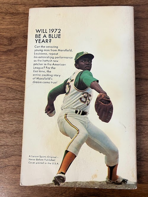 Vintage Paperback - Richard Deming: VIDA - Baseball Pitcher