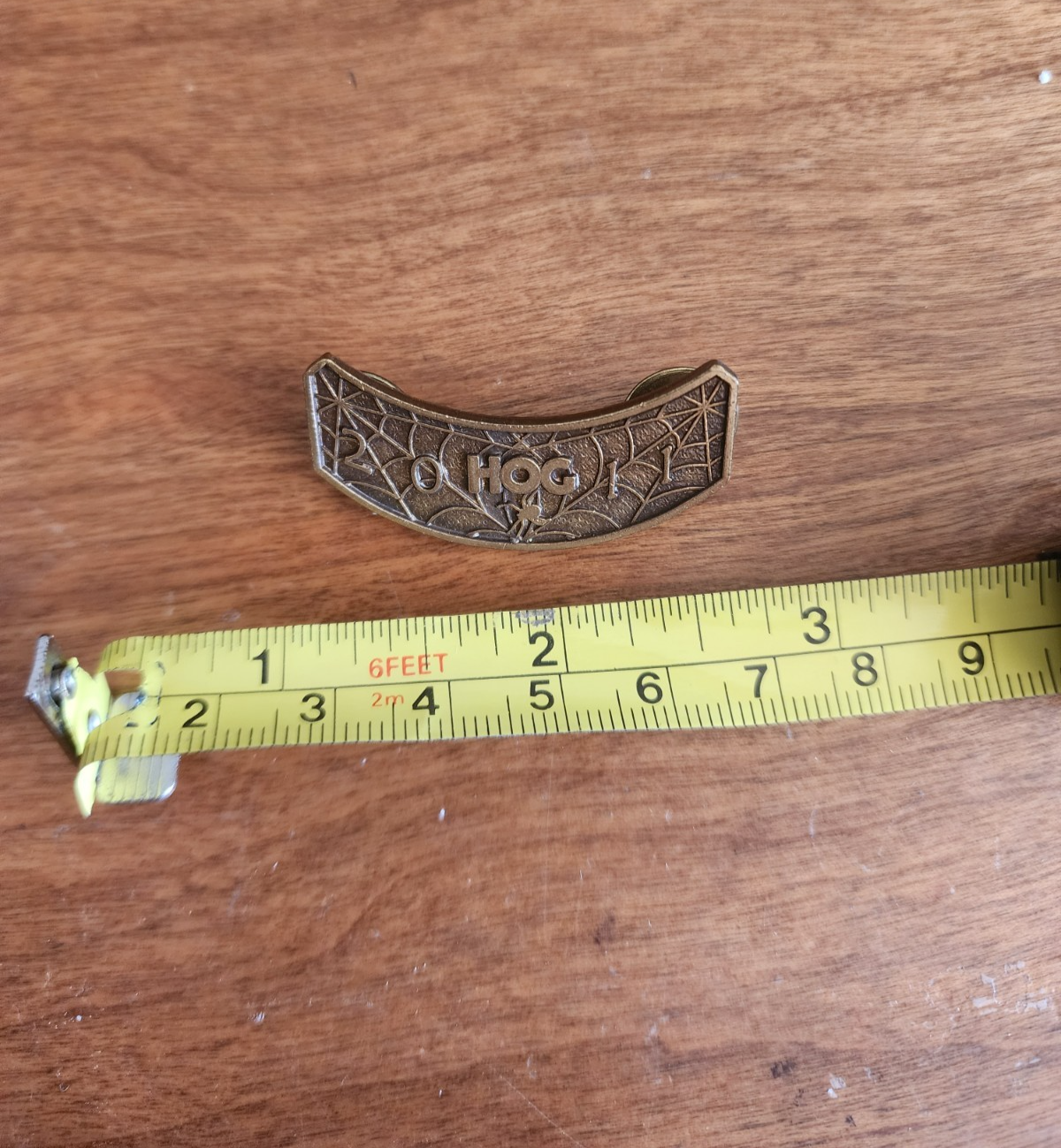 Harley Davidson Motorcycle Owners Group 2011 HOG Pin