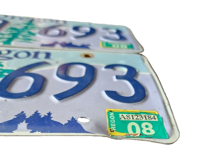 Set of 2 random letters Oregon License Plate