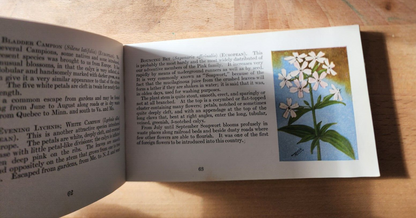 Flower Guide Wild Flowers East Of The Rockies Revised Edition 1925 Chester Reed