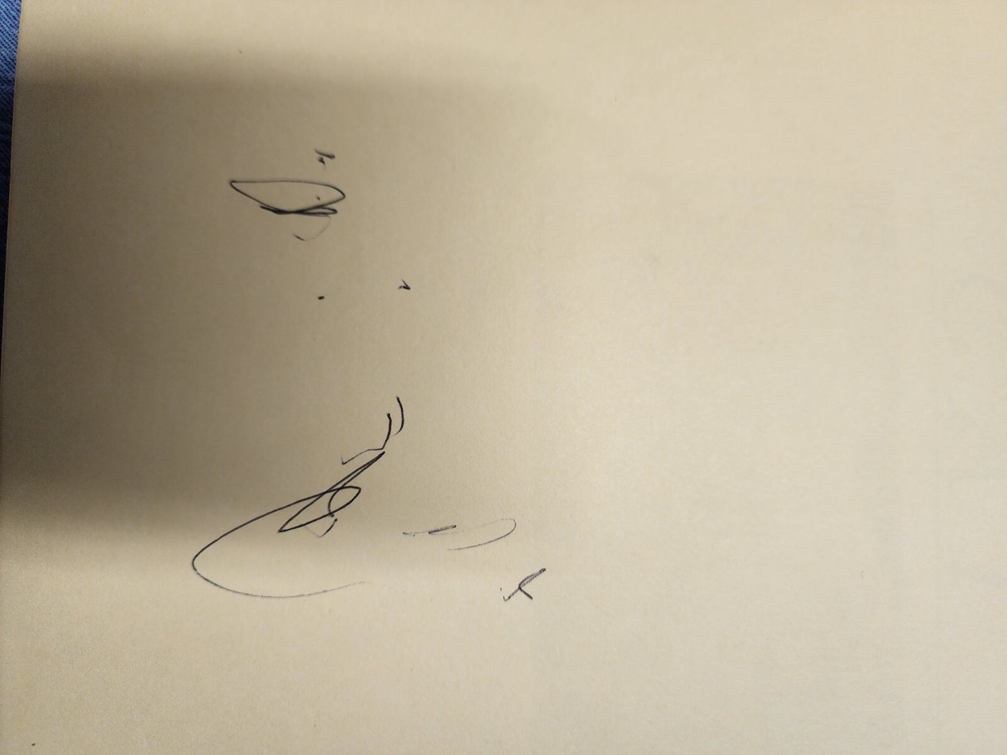 The Complete Book of Cat by Angelina Sayer - Good