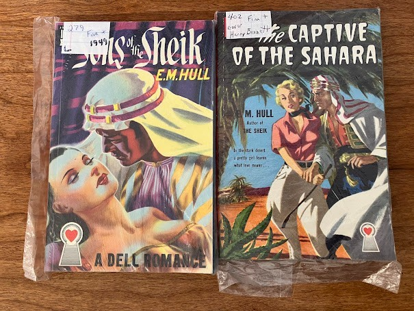 Vtg Paperbacks by E.M. Hull - lot of 2