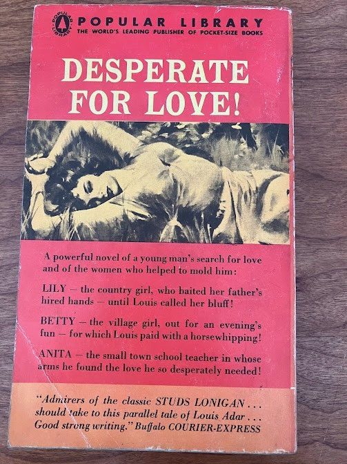 Vtg Paperback - Peter W. Denzer: THE LAST HERO