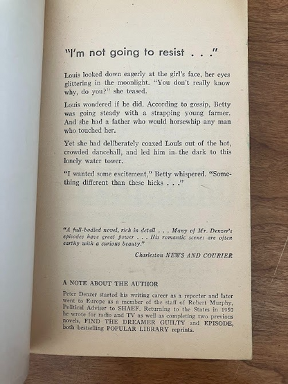 Vtg Paperback - Peter W. Denzer: THE LAST HERO