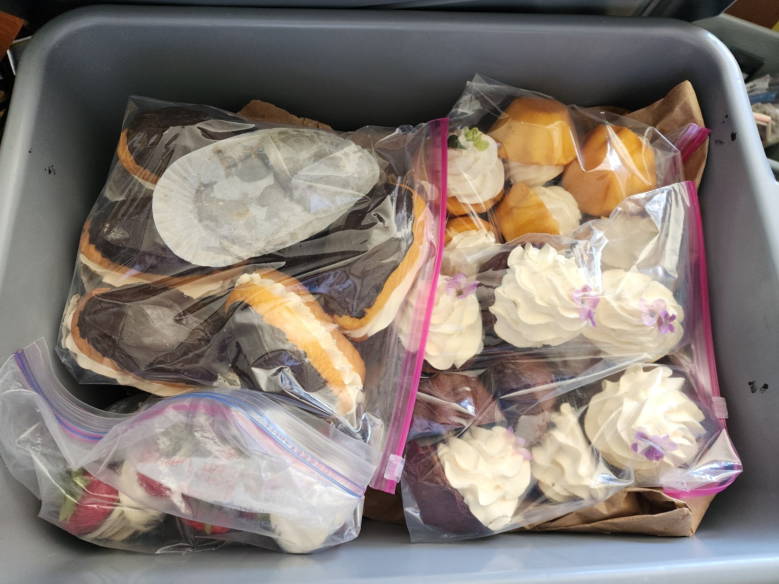 Lot of 6 Display Food Prop Boston Cream Donuts