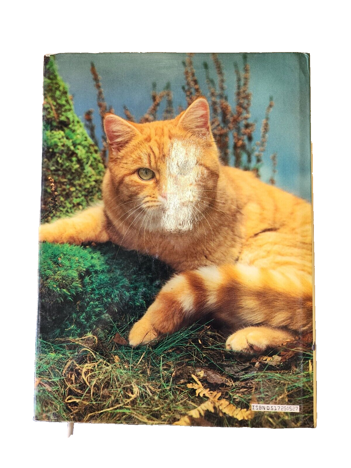 The Color Nature Library CATS Peggy Wratten Hardcover- 1977