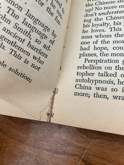 Vtg Paperback - THE ORACLE by Edwin O'Connor