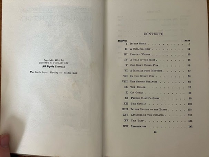 Hunting for Hidden Gold By Franklin W. Dixon