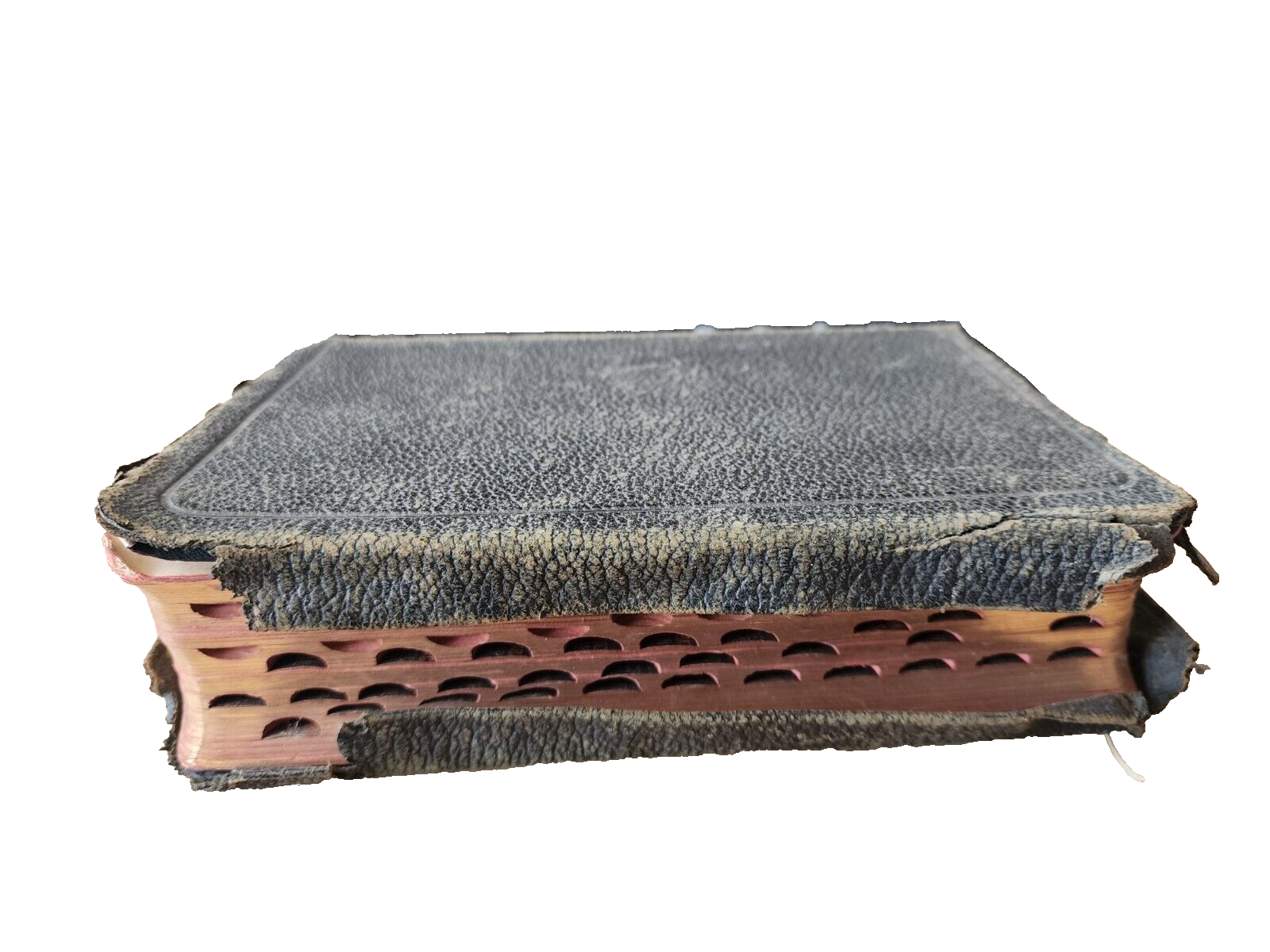 VTG German Holy Bible New Testament Psalm antique book