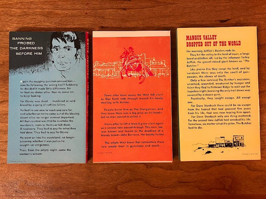 Avon - Lot of 3 Western Paperbacks by Ray Hogan