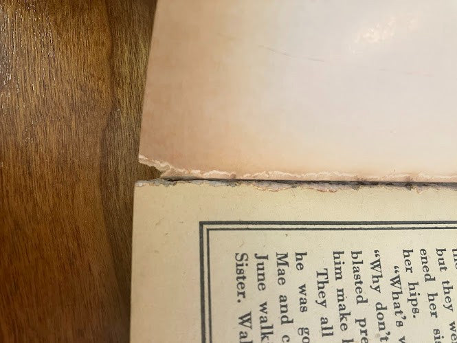 Gold Medal Books - The Sin Shouter of Cabin Road by John Faulkner