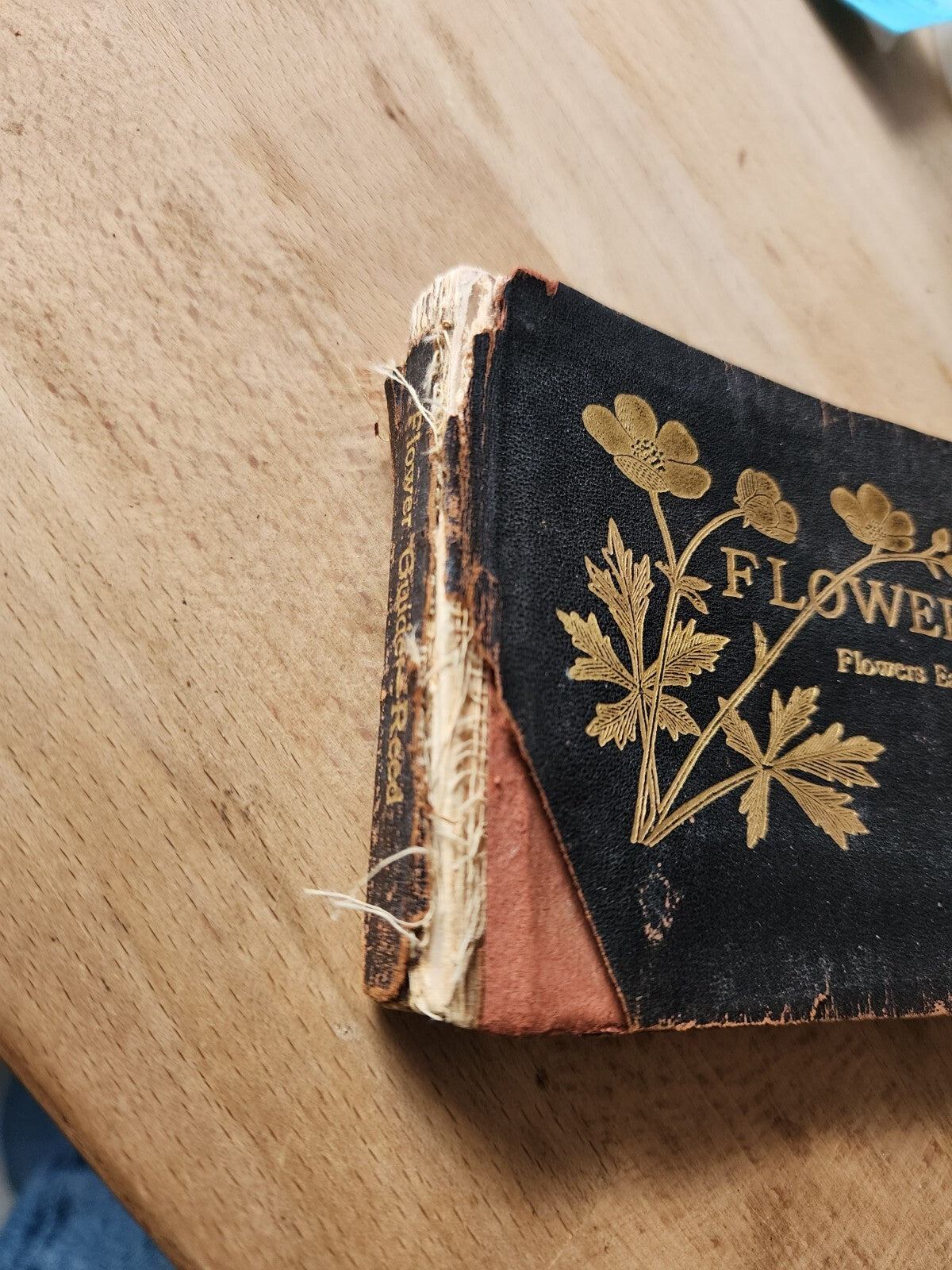 Flower Guide, Flowers east of the Rockies, 1913, leather back
