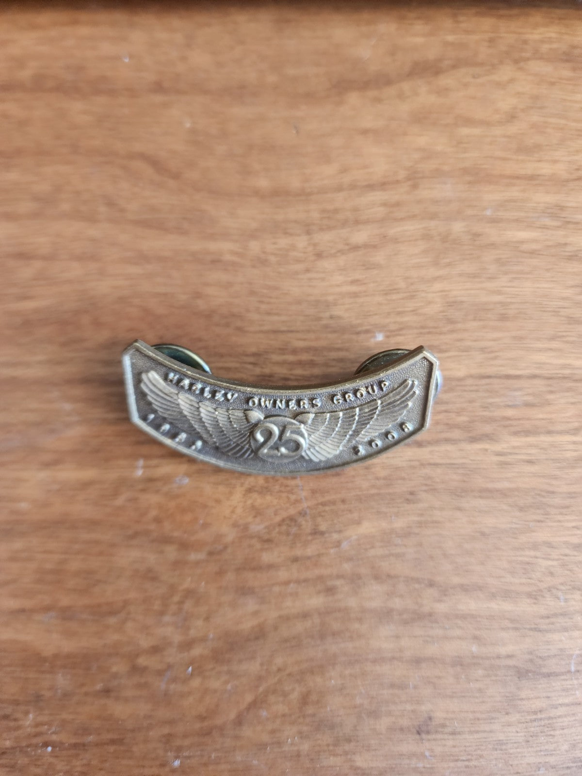 2008 Harley Davidson Owners Group HOG 25th Anniversary Pin