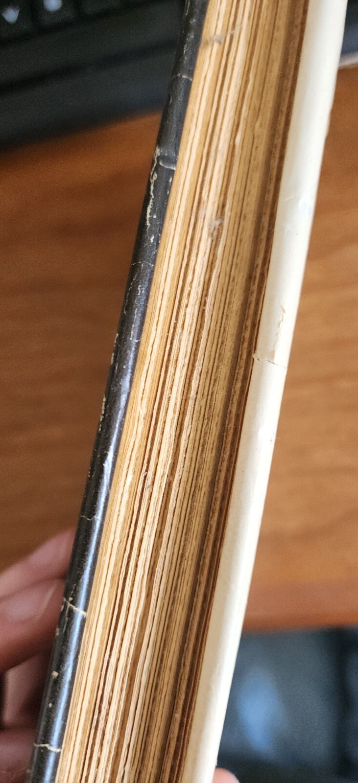 Give Us Our Dream by Arthemise Goertz, 1947, 1st Edition