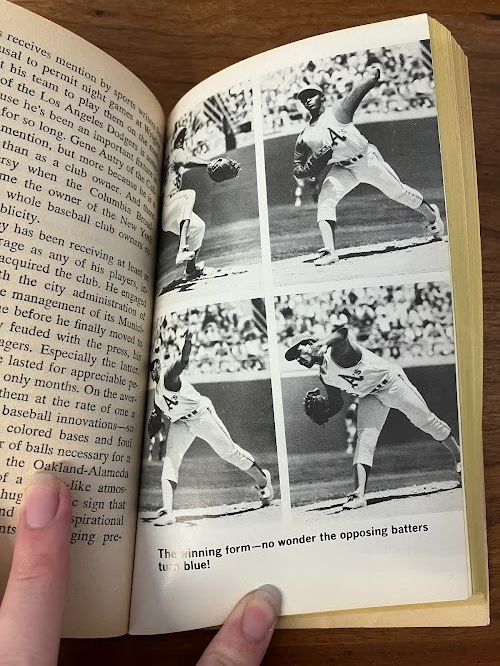 Vintage Paperback - Richard Deming: VIDA - Baseball Pitcher