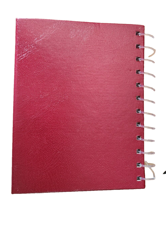 Photo Album 4X6, Small Red Mini Capacity Leather Photo Album